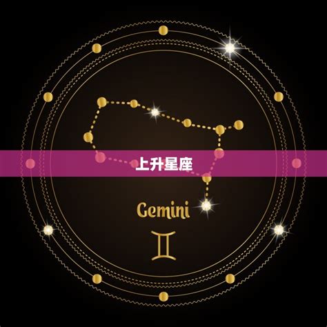 大象 月亮星座上升星座